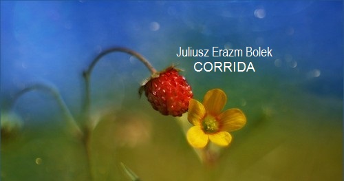 CORRIDA prapremiera