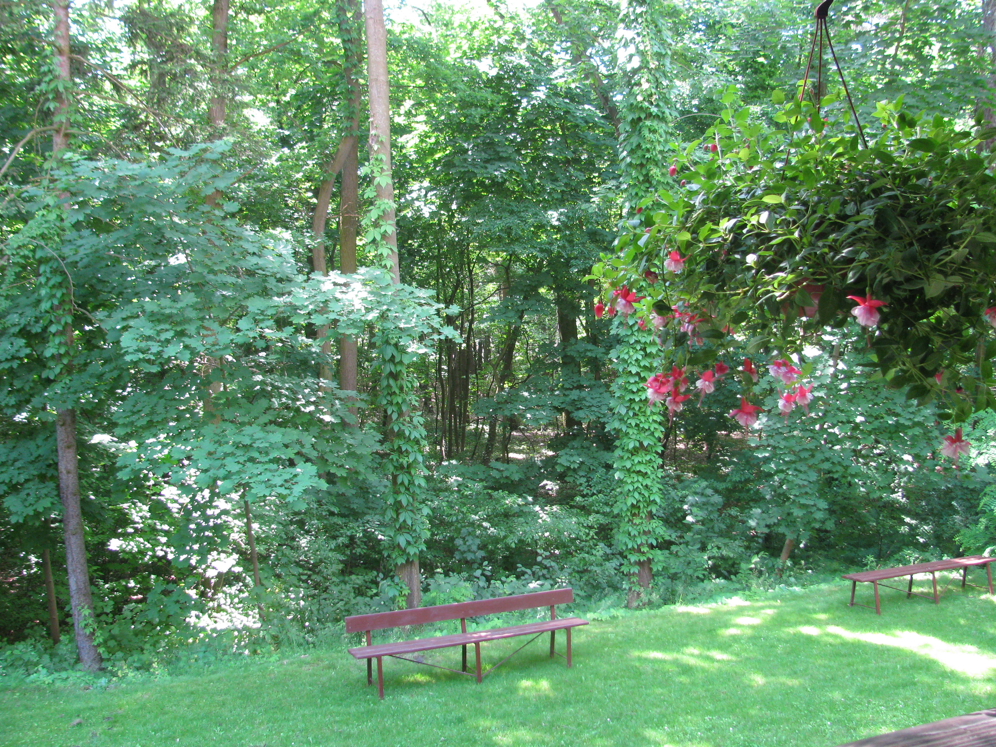 wersnisaż 323